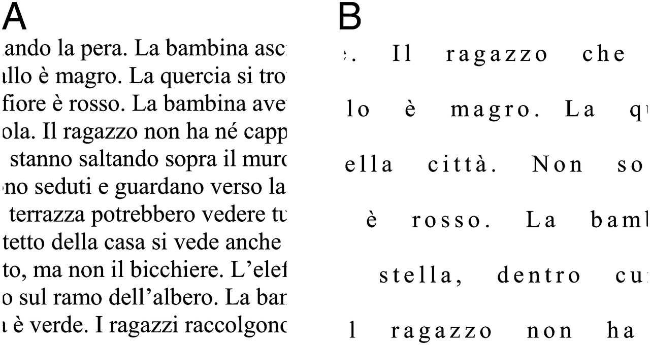 Web Accessibility Text Read